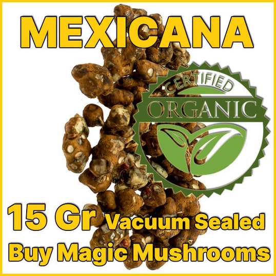 Mexicana magic truffles psilocybe