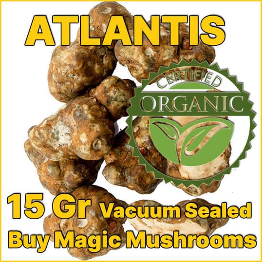 Atlantis magic truffles psilocybe