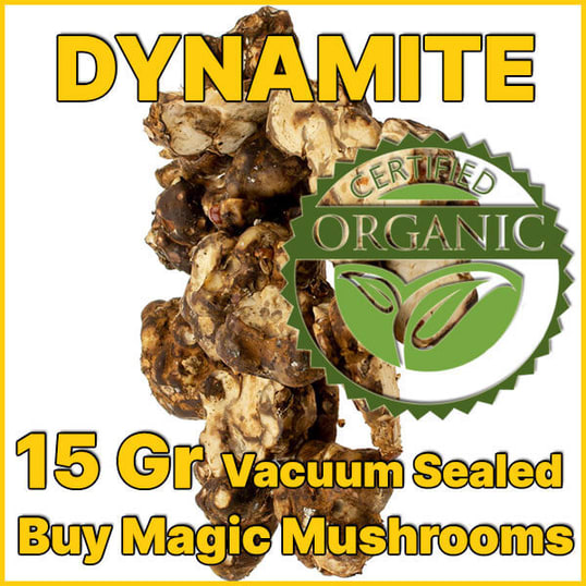 Dynamite magic truffles psilocybe