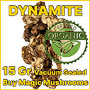 Dynamite magic mushroom truffle