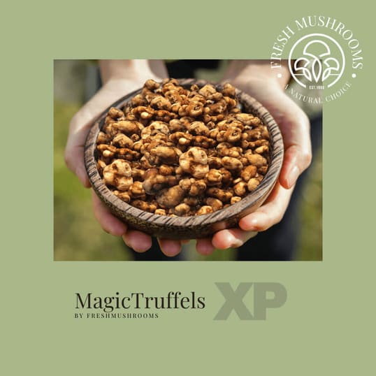 Psychoactive magic truffles by Freshmushrooms