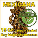 Mexicana magic mushroom truffle