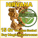 Nirvana magic mushroom truffle