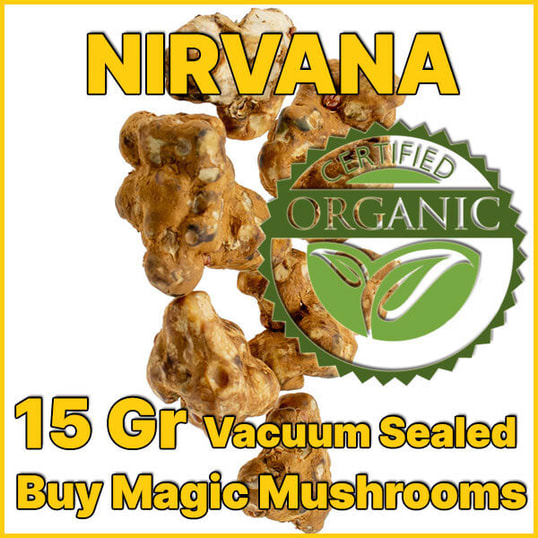 Nirvana magic truffles psilocybe