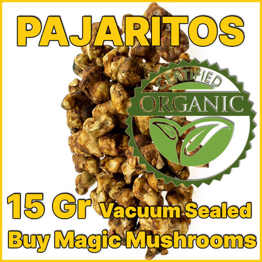 Pajaritos magic truffles for experienced trip