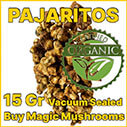 Pajaritos magic mushroom truffle