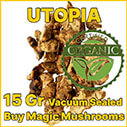 Utopia magic mushroom truffle