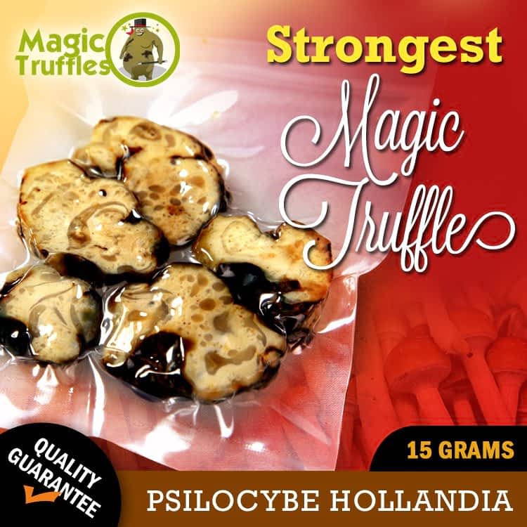 Hollandia Hollandia